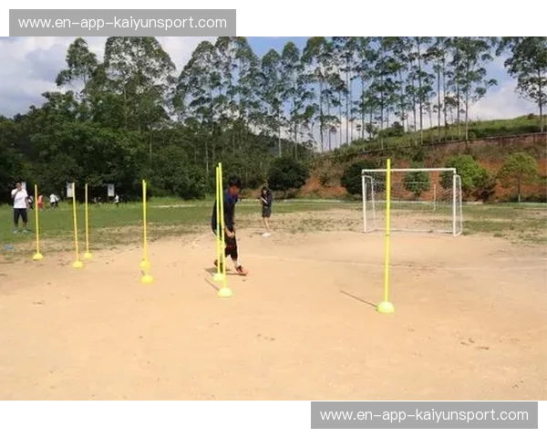 开云体育试玩报告:一次全方位的线上体育娱乐探索 开云体育试玩报告:一次全方位的线上体育娱乐探索